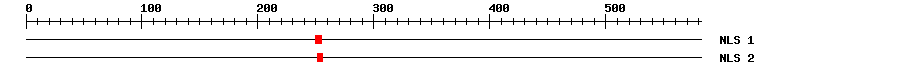 NLS