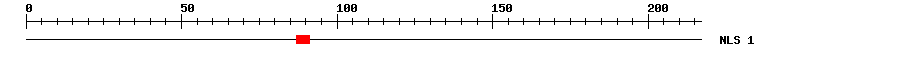 NLS