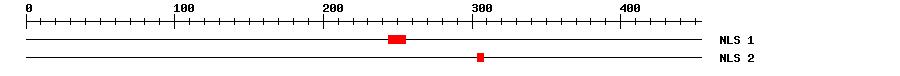 NLS