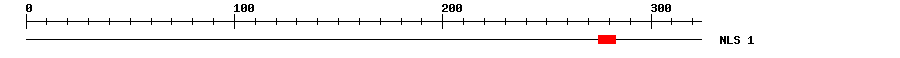 NLS