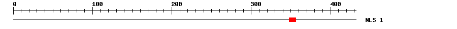NLS