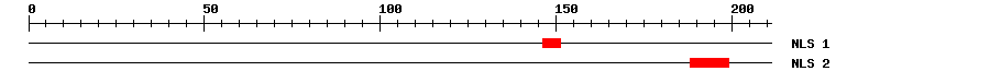 NLS