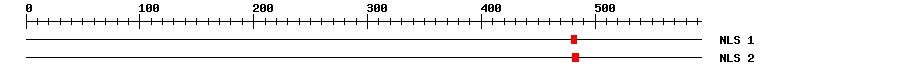 NLS