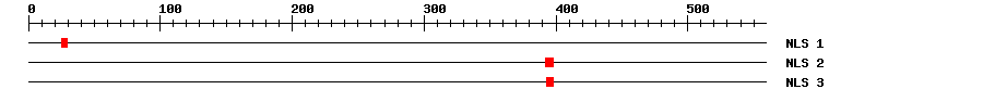 NLS