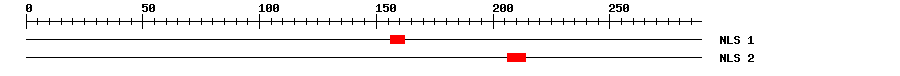 NLS