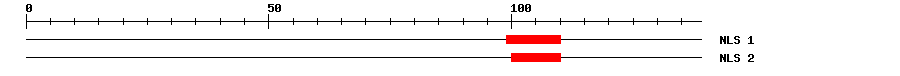 NLS