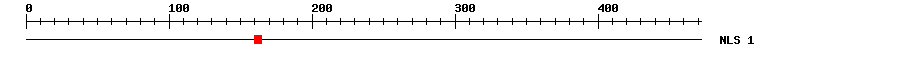 NLS