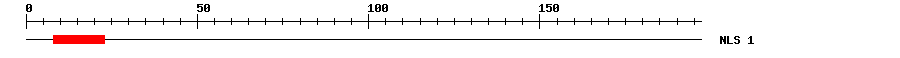 NLS