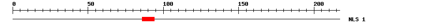 NLS