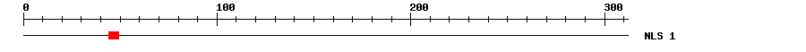 NLS