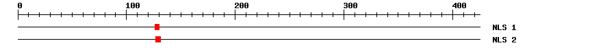NLS