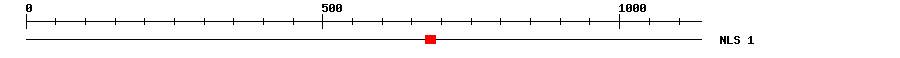 NLS