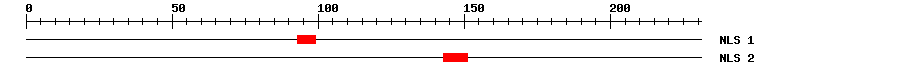 NLS