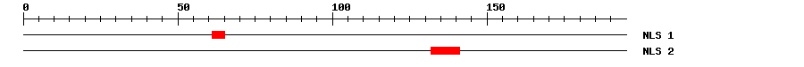 NLS