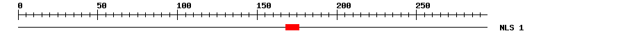 NLS