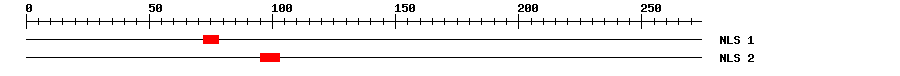 NLS