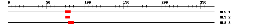 NLS