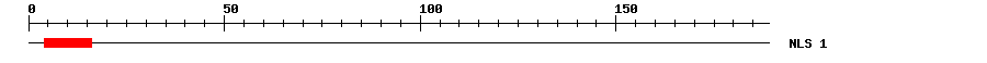 NLS