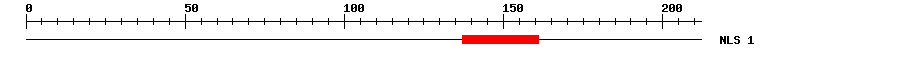 NLS