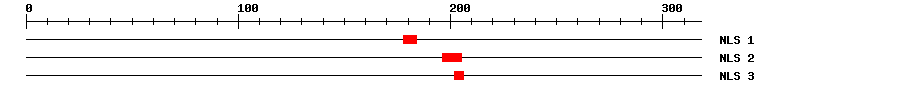 NLS