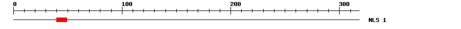 NLS