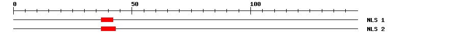 NLS