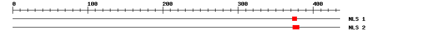 NLS
