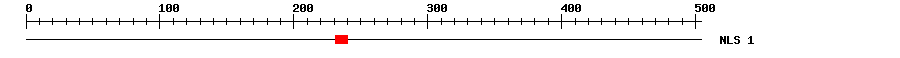 NLS
