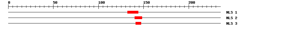 NLS