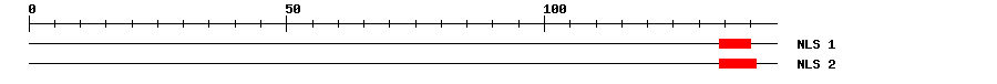NLS
