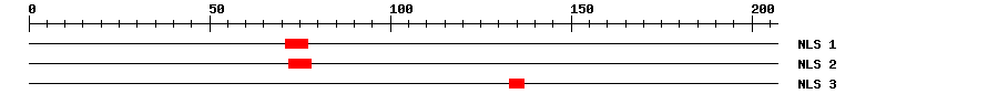 NLS