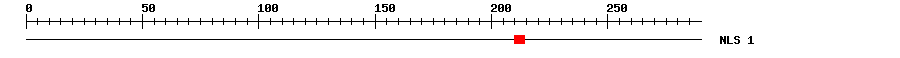 NLS