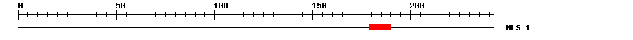 NLS