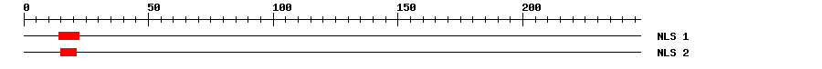 NLS