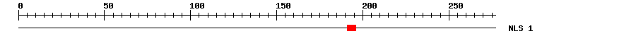 NLS