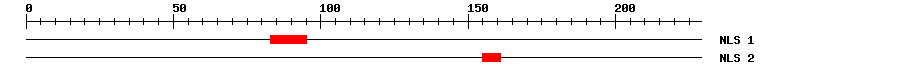 NLS