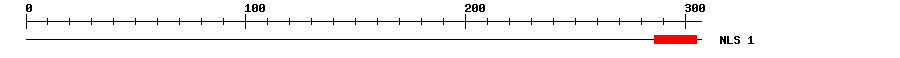 NLS
