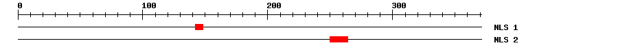 NLS