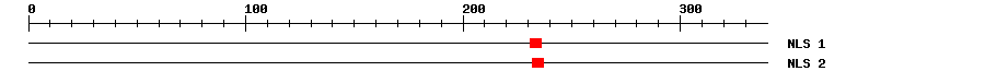 NLS