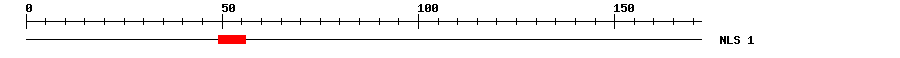 NLS