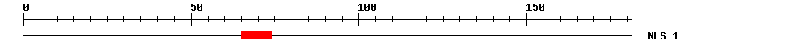 NLS