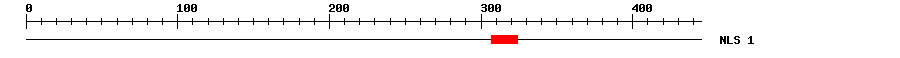 NLS