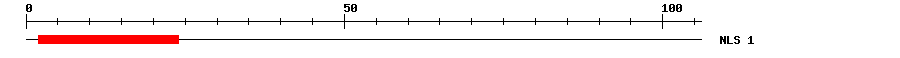 NLS
