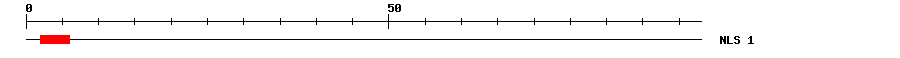 NLS