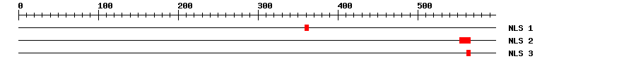 NLS
