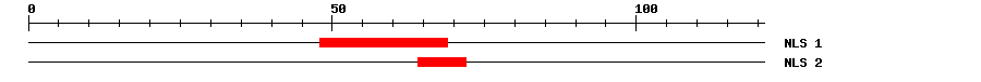 NLS