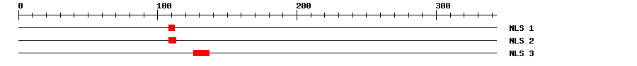 NLS