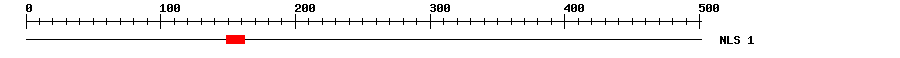 NLS
