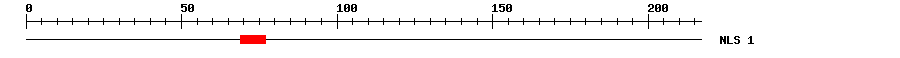 NLS