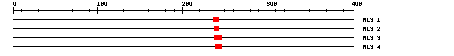 NLS